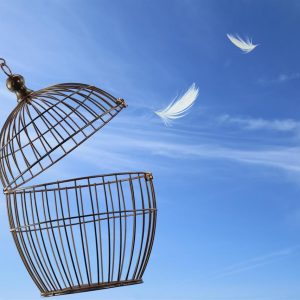 L'arte di vivere bene - la psicosintesi - corso di 5 serate
