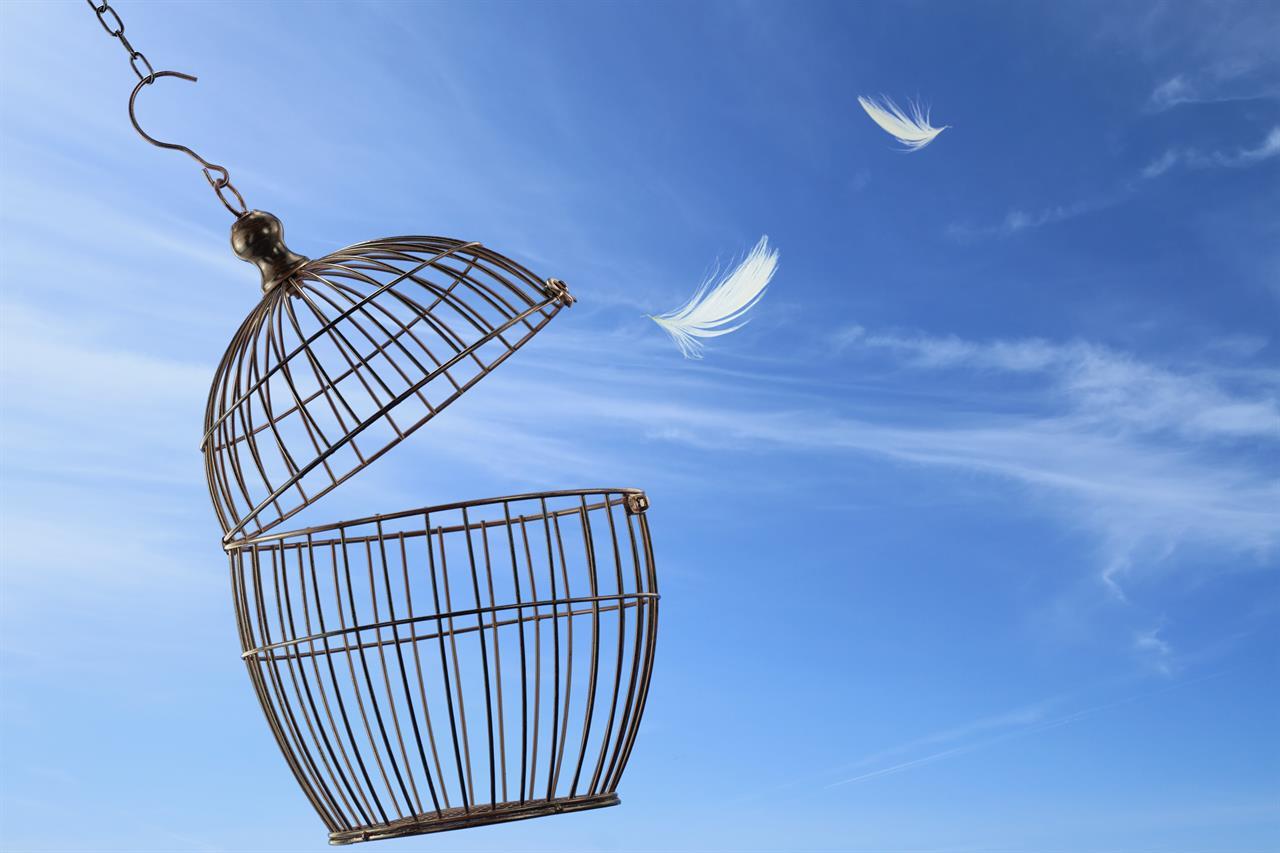 L'arte di vivere bene - la psicosintesi - corso di 5 serate