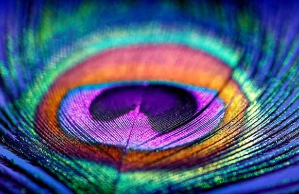 Unione con l’anima superiore