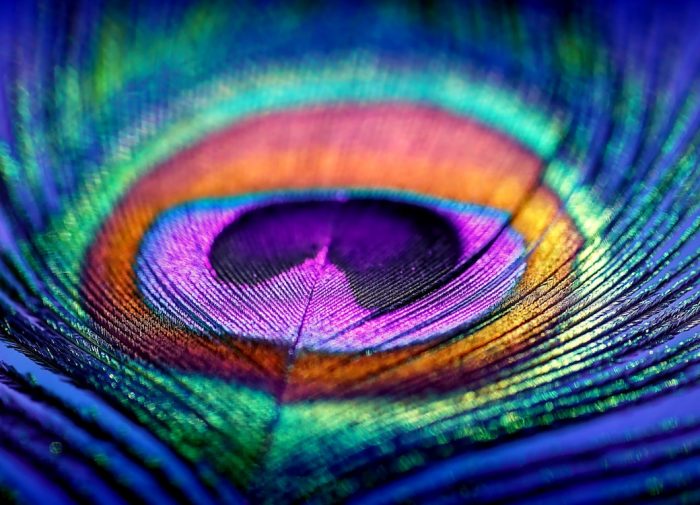 Unione con l'anima superiore