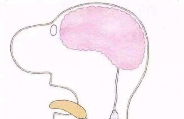 CORSO SUPER BRAIN YOGA – ALLENA IL TUO CERVELLO