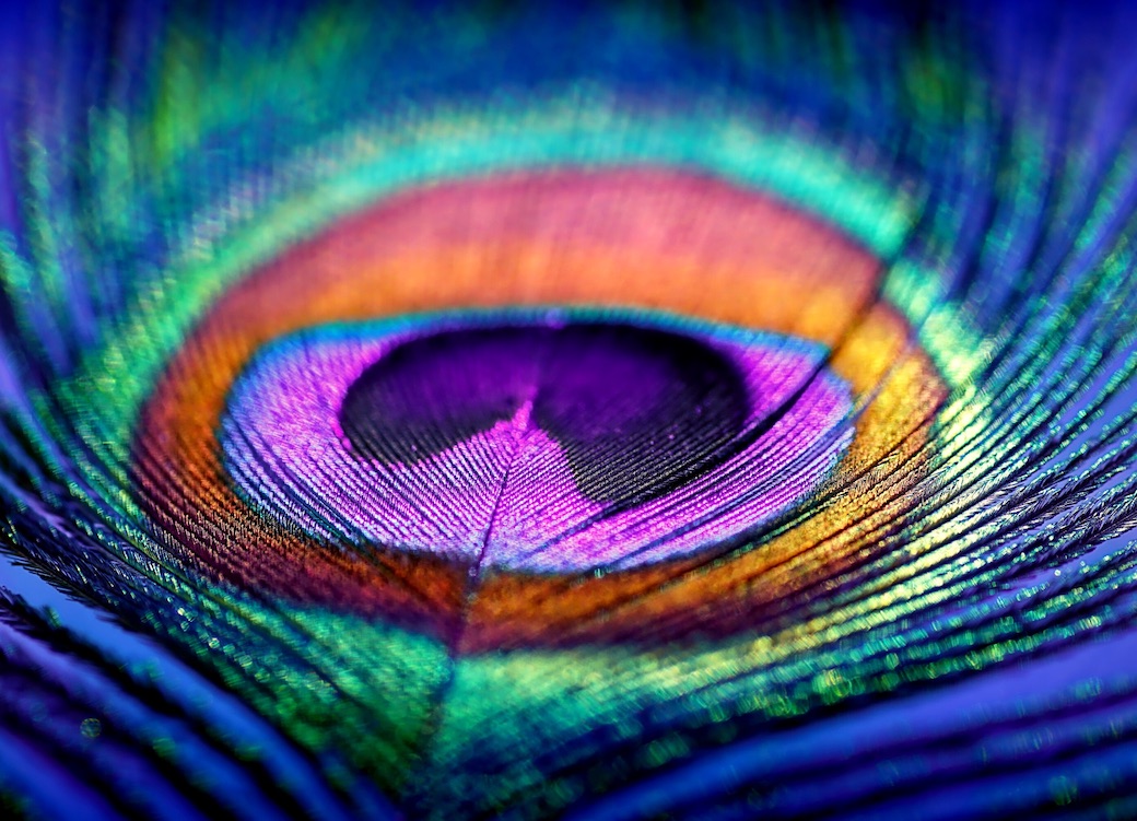 RAGGIUNGERE L'UNIONE CON L'ANIMA SUPERIORE
